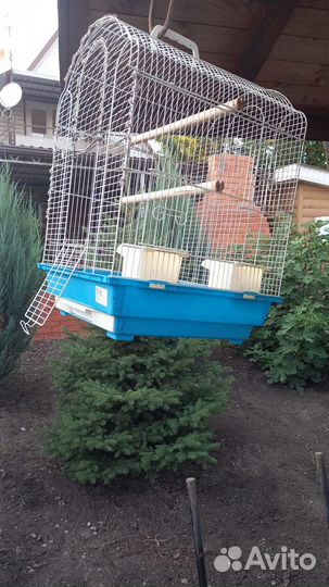 Клетка для попугая бу