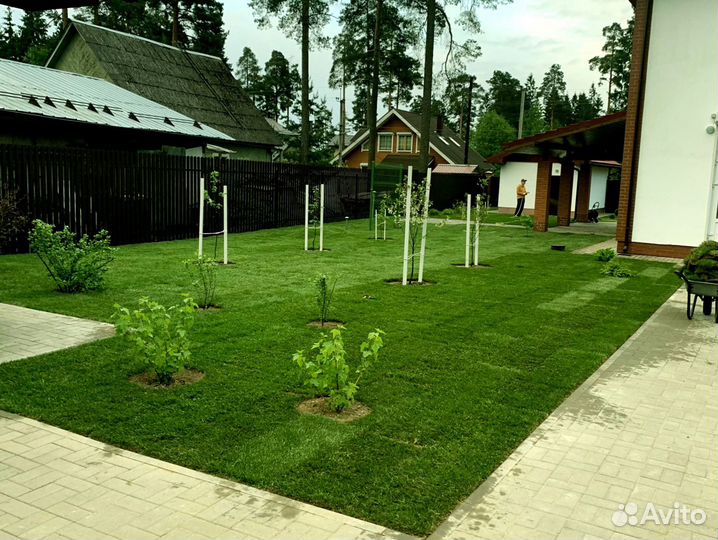 Рулонный газон