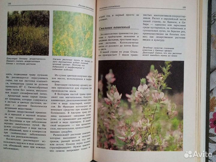 Лесная косметика. Молодожникова Л. М. 1991 г