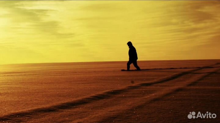 Видеооператор