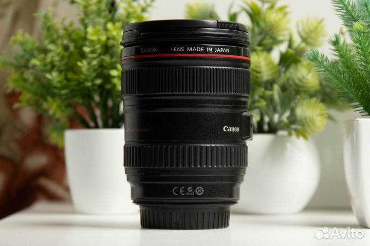 Canon EF 24-105mm f/4L IS USM