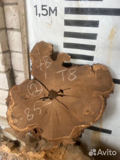 Слэб дерева и спилы