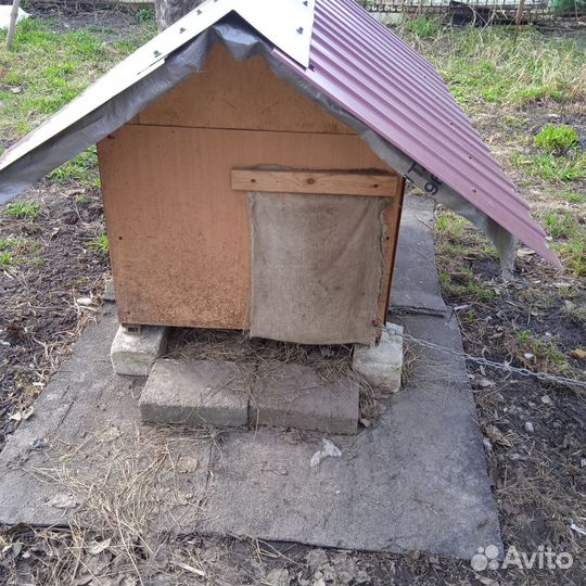 Будка для собаки