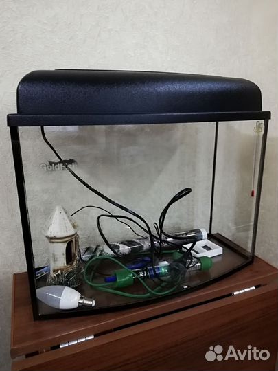 Аквариум