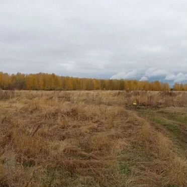 Участок 40 сот. (СНТ, ДНП)