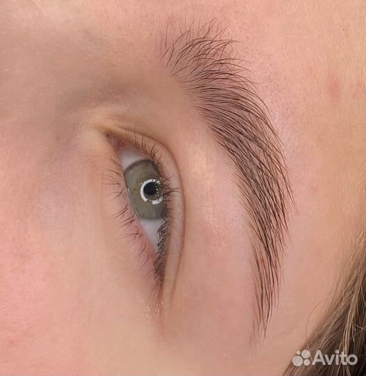 Мастер — бровист