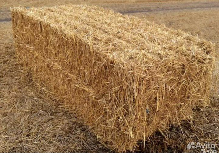 Сено -солома травой в тюках с доставкой,горох