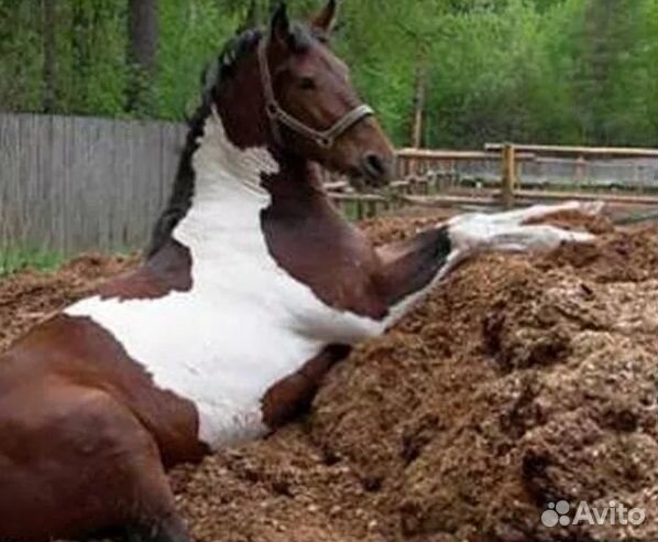 Навоз-Перегной-Коровий-Конский-Удобрение