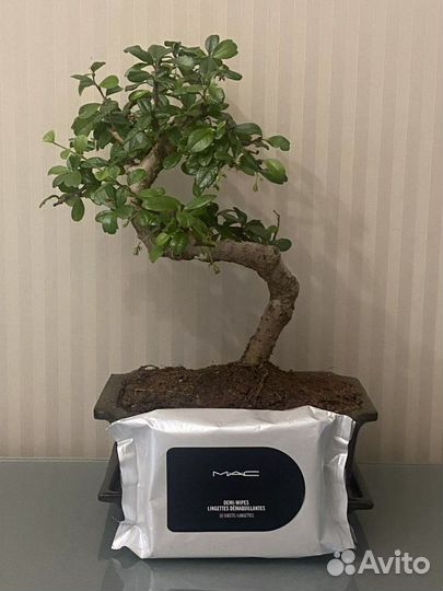 Влажные салфетки