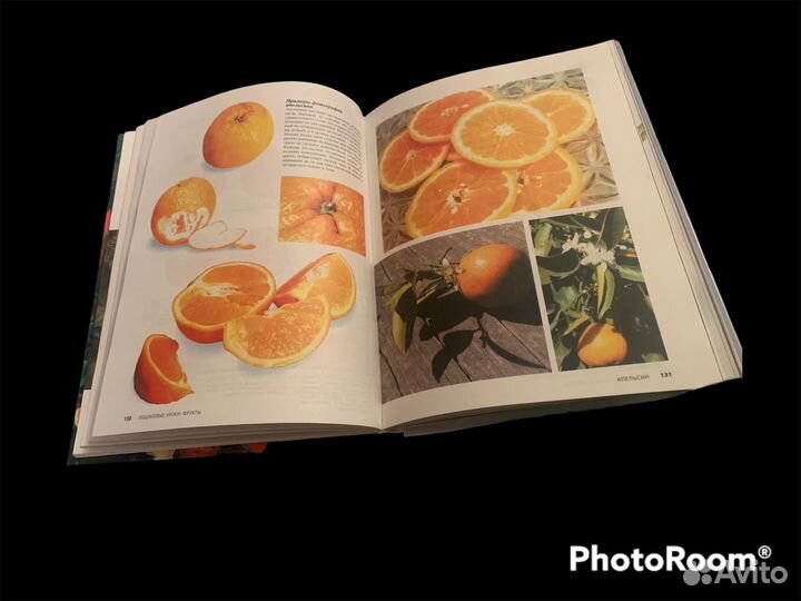 Курс живописи Джеки Шоу