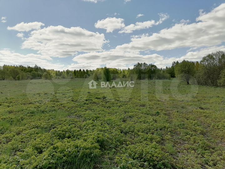 Участок 54,7 сот. (ИЖС)