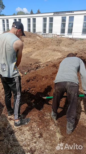 Конский перегной