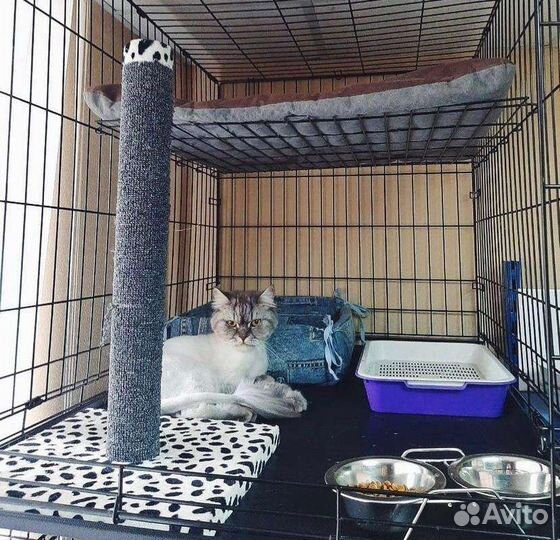 Зоогостиница