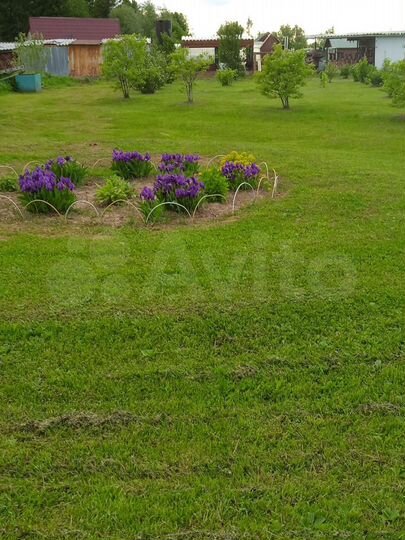 Участок 21,8 сот. (ИЖС)