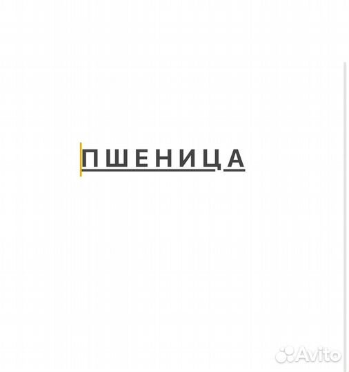 Пшеница яровая