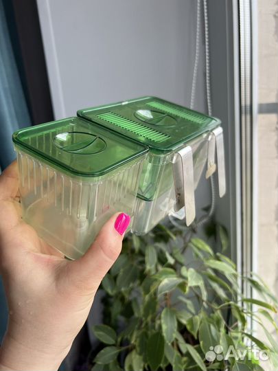 Отсадник для мальков