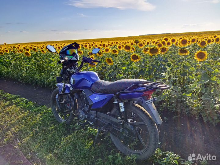 Ирбис gs 150