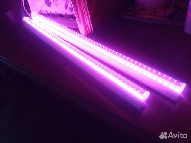 Фитолампы для растений длинные новая