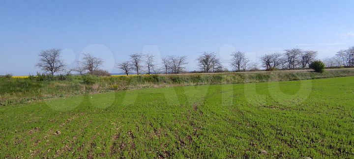 Участок 3,8 га (СНТ, ДНП)