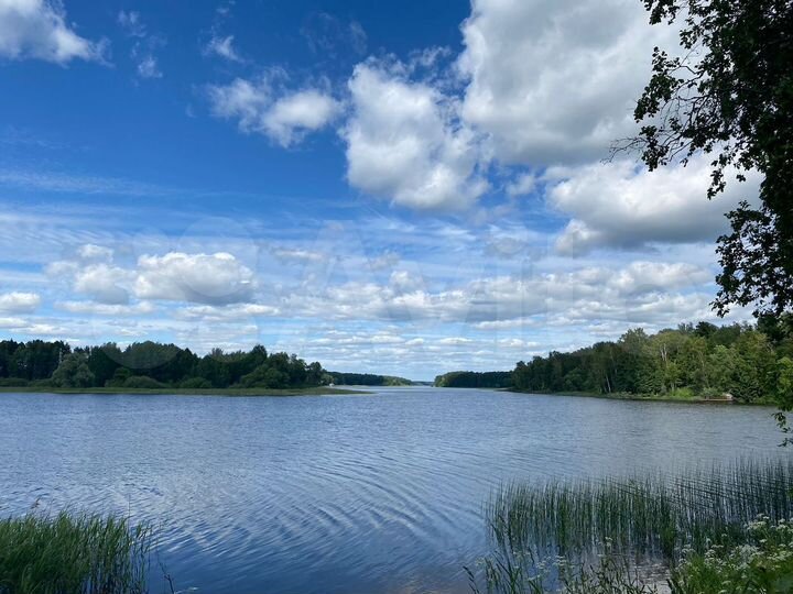 Участок 7,3 сот. (ИЖС)