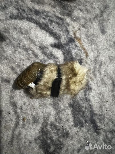 Обувь зимняя для собак