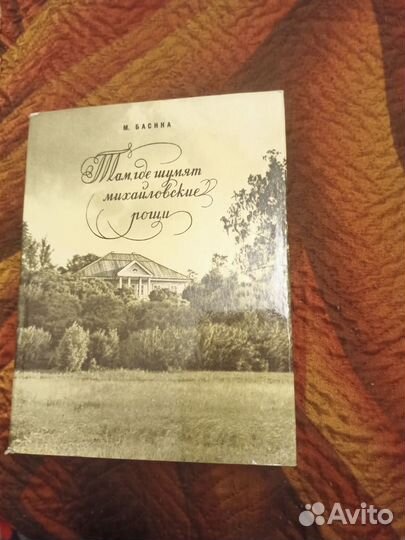 Книга о Пушкине. Басина