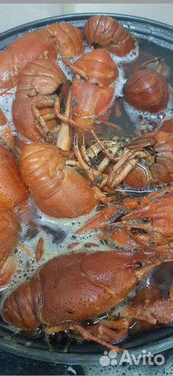 Волжские раки