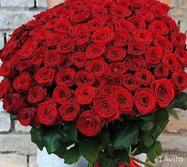 Высокие розы Гигантские розы с доставкой