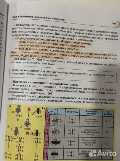 Учебник по биологии 10 класс теремов