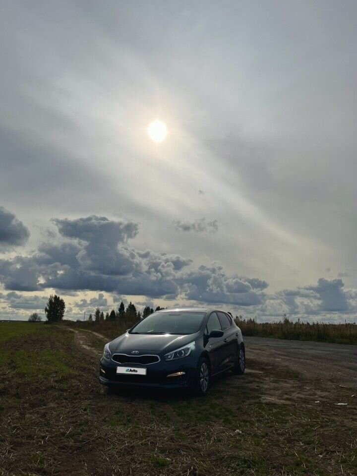 Kia Ceed: фото владельца