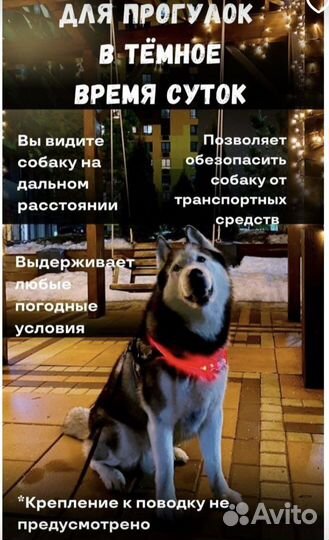 Ошейник светящийся для собак любых пород новый