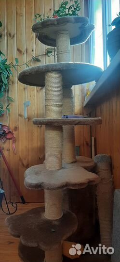 Домик для кошки бу