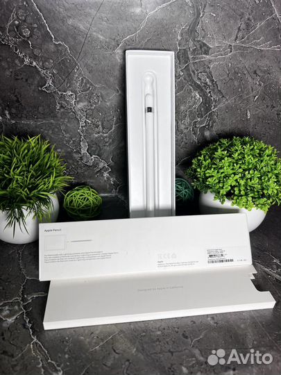 Apple Pencil (2-поколения)