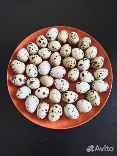 Яйцо перепелинное