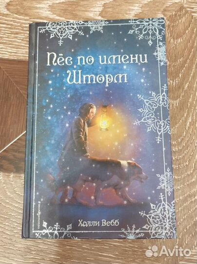 Детская книга Холли Вебб