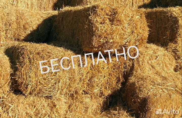 Солома бесплатно