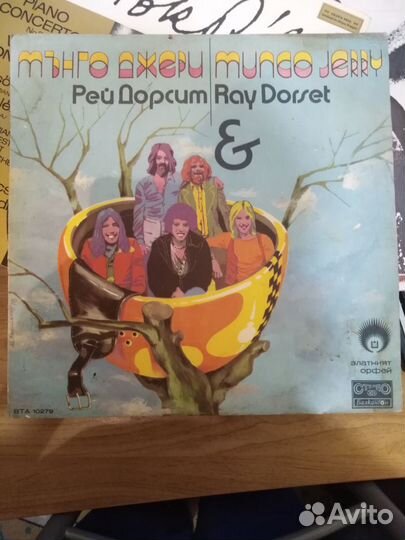 Виниловые пластинки