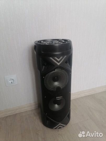 Колонка ZQS6201