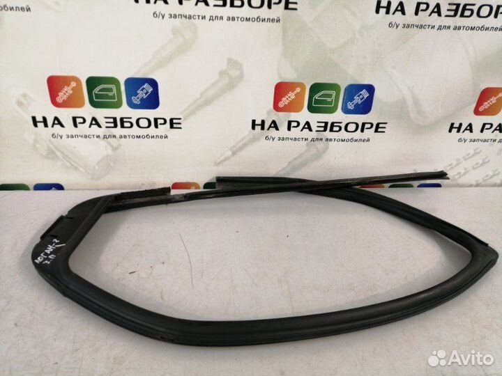 Уплотнительная резинка стекла двери задняя правая
