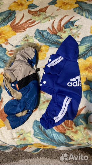 Одежда для маленьких собак s и m