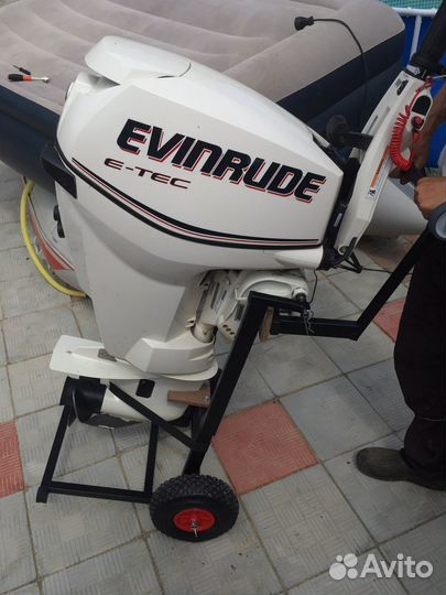 Evinrude E-tec 25