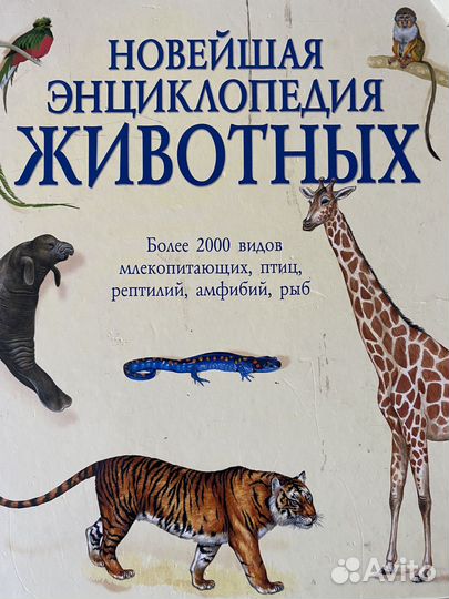 Детская энциклопедия животных