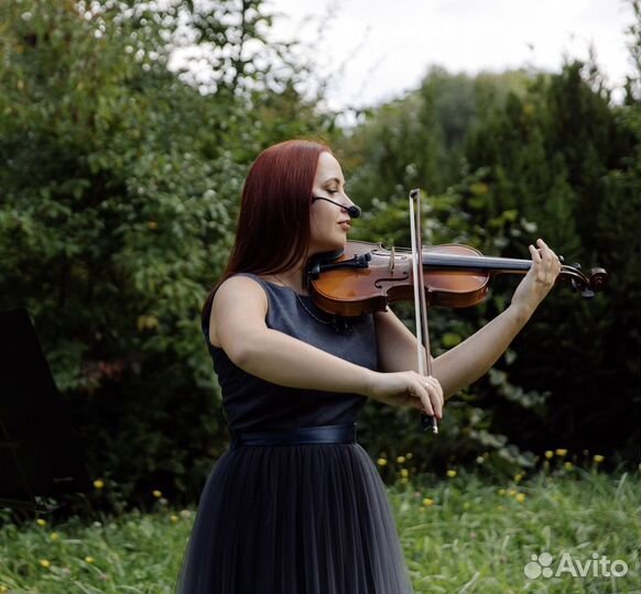 Музыканты,Струнный квартет,Скрипач,Скрипачка,уроки