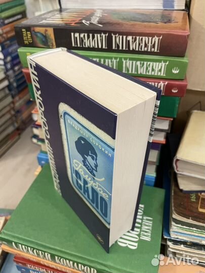 Владимир Сорокин - Голубое Сало