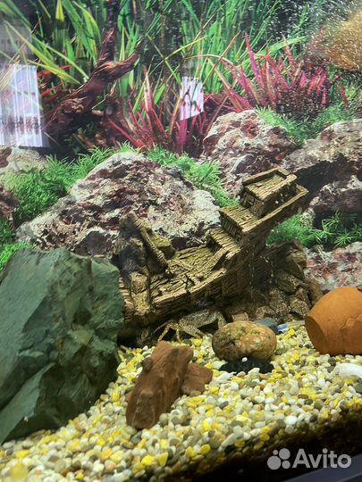 Аквариум 125 л
