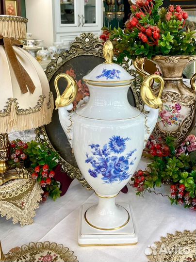 Ваза Кайзер, Германия