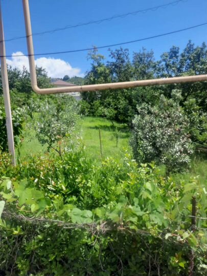 Участок 5 сот. (ИЖС)