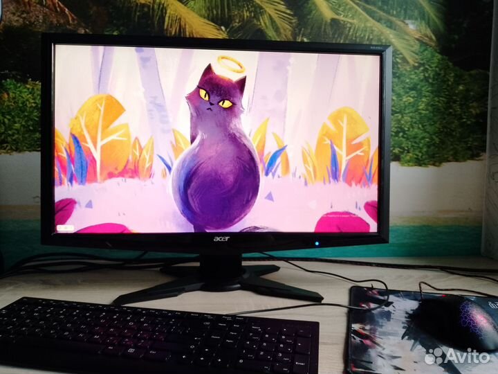 Игровой Монитор Acer G245H