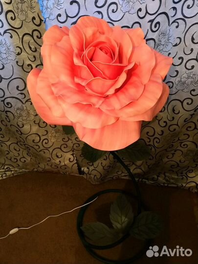 Роза-ночник