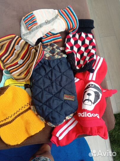 Наряды для питомца